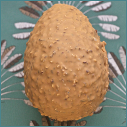 [Collection Pâques 2023] OEUF ROCHER DULCEY PRALINÉ PÉCAN