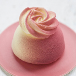 Autour des Entremets 