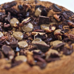 Cours Spécial Cookies
