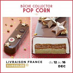 [LIVRAISON 12-16 DEC.] Bûche de Noël - Clémentine (6 personnes)