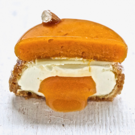 CHOU ABRICOT VANILLE