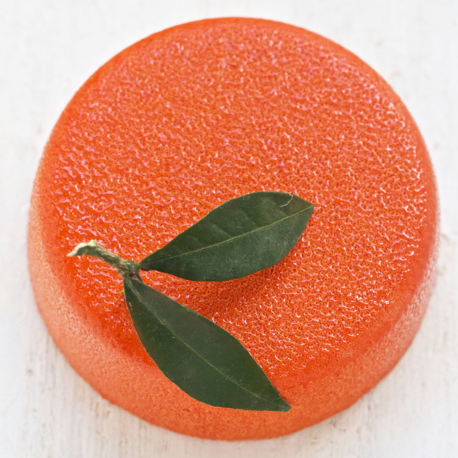 PUR CLÉMENTINE (6 PERS.)