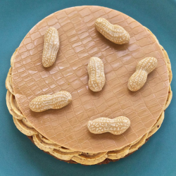 MILLEFEUILLE  PARIS-BREST - 6 PERSONNES