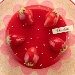 CHARLOTTE FRAISE VANILLE