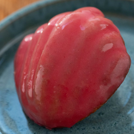 MADELEINE FRAMBOISE