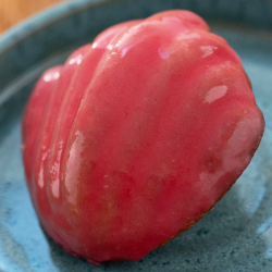 MADELEINE FRAMBOISE