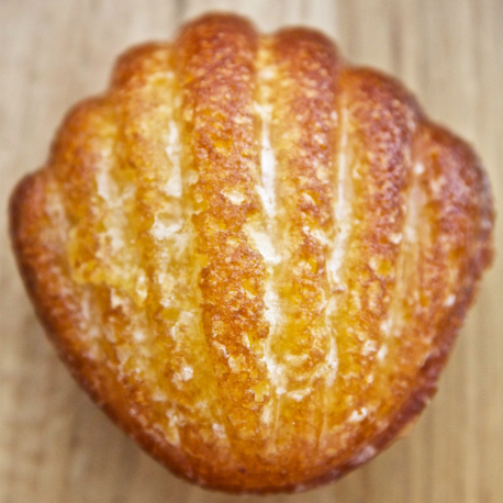 MADELEINE CITRON DE SICILE