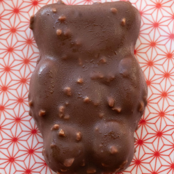 OURSON GIVRÉ PRALINÉ NOISETTE
