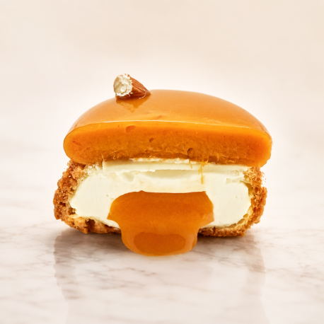 CHOU ABRICOT VANILLE